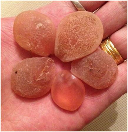 鱼宝 有人认识吗? - 知乎