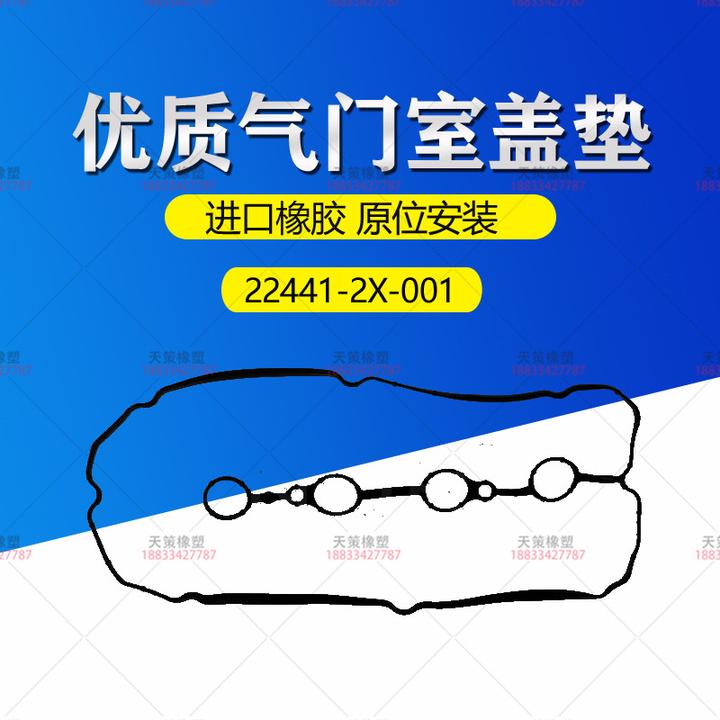 22441 2x 001 valve cover gasket 