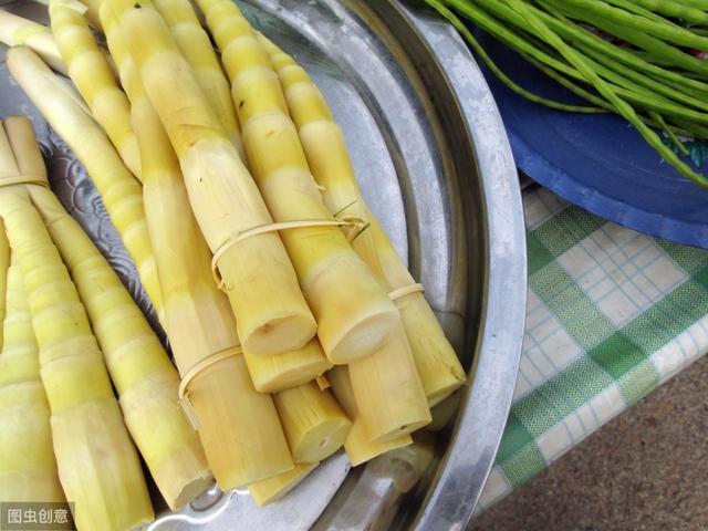 笋是寒性还是热性 v2-da64f955896c4a9cc5f1b8848c381df9_1440w.jpg?source=172ae18b