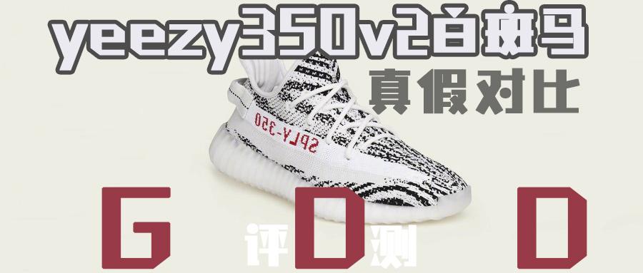 yeezy350白斑马真假对比 椰子斑马2020 gdd评测