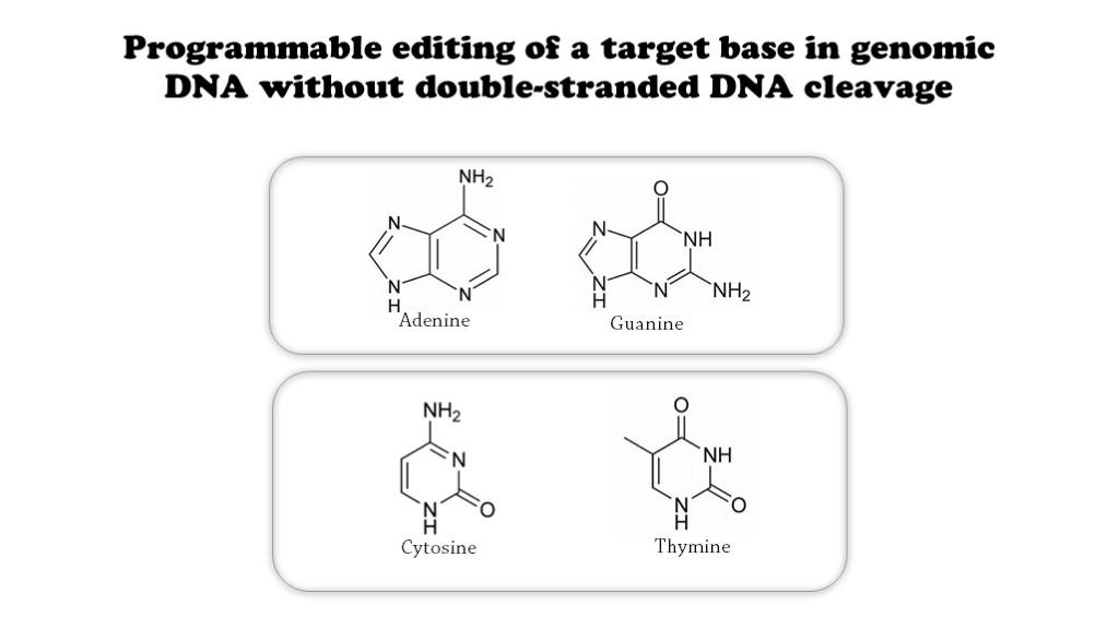 什么叫单水平开拓和多水平开拓 v2-da686381834ba4886c8daa924b598d46_r.jpg