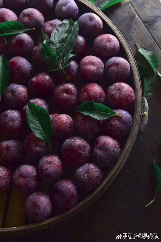 檇李之战与果中珍品--檇李