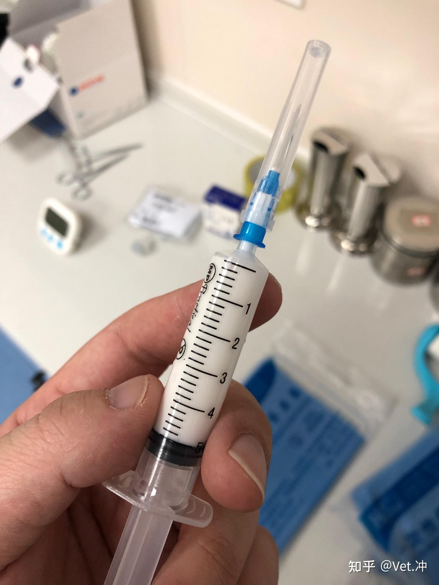 如何用市场上可以合法买到的药物给猫做安乐死