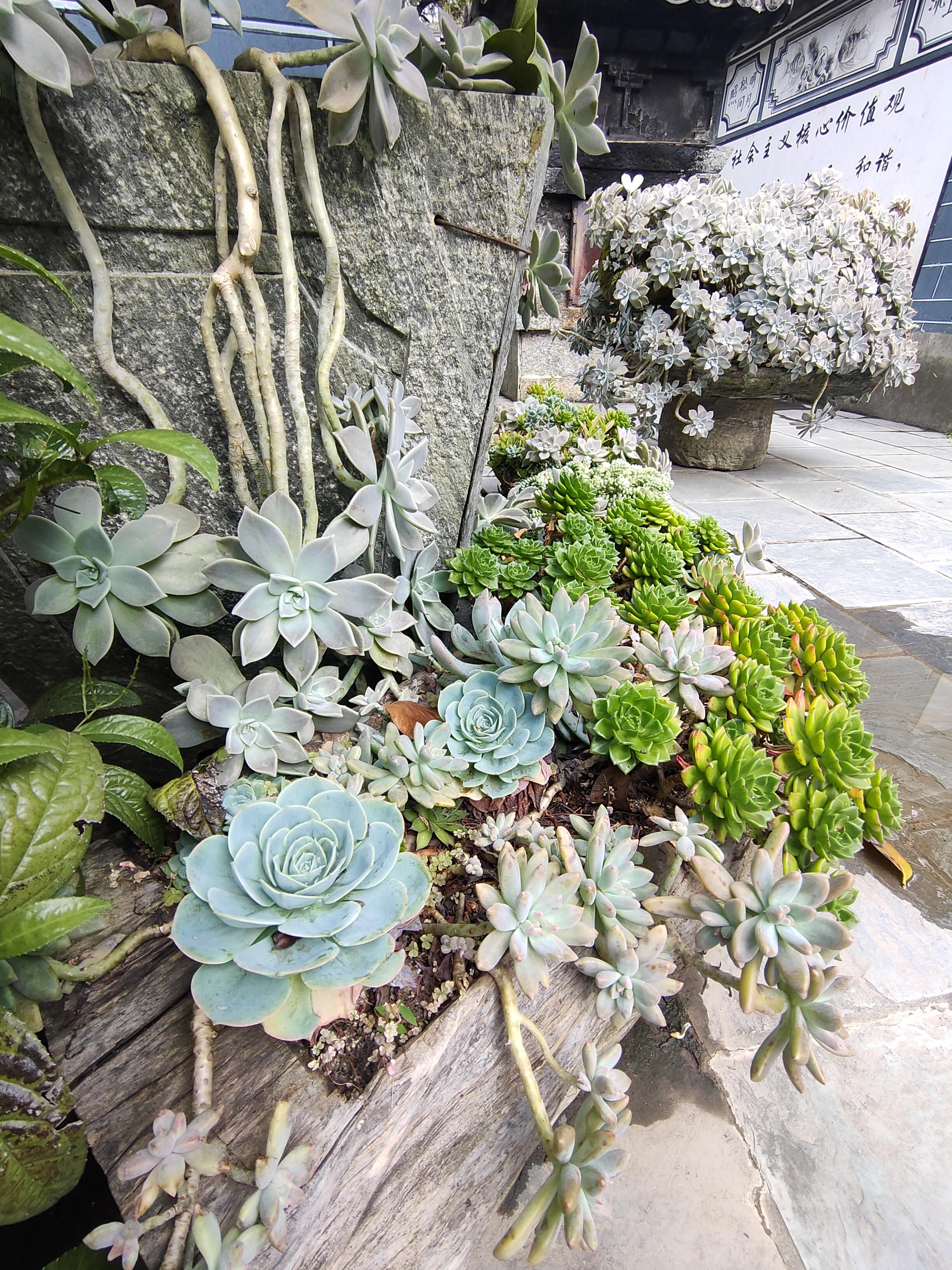 云南大理小众旅行地最美寺院寂照庵韩红都曾慕名而来