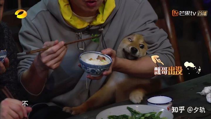 蘑菇屋第一季最后一期 v2-da722a82ee5859542179cd97599c99a4_r.jpg