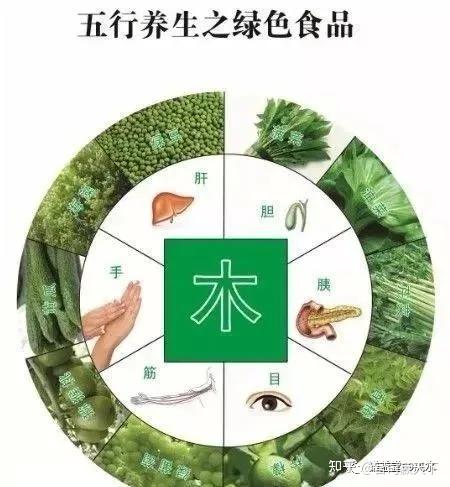 五行与食物养生
