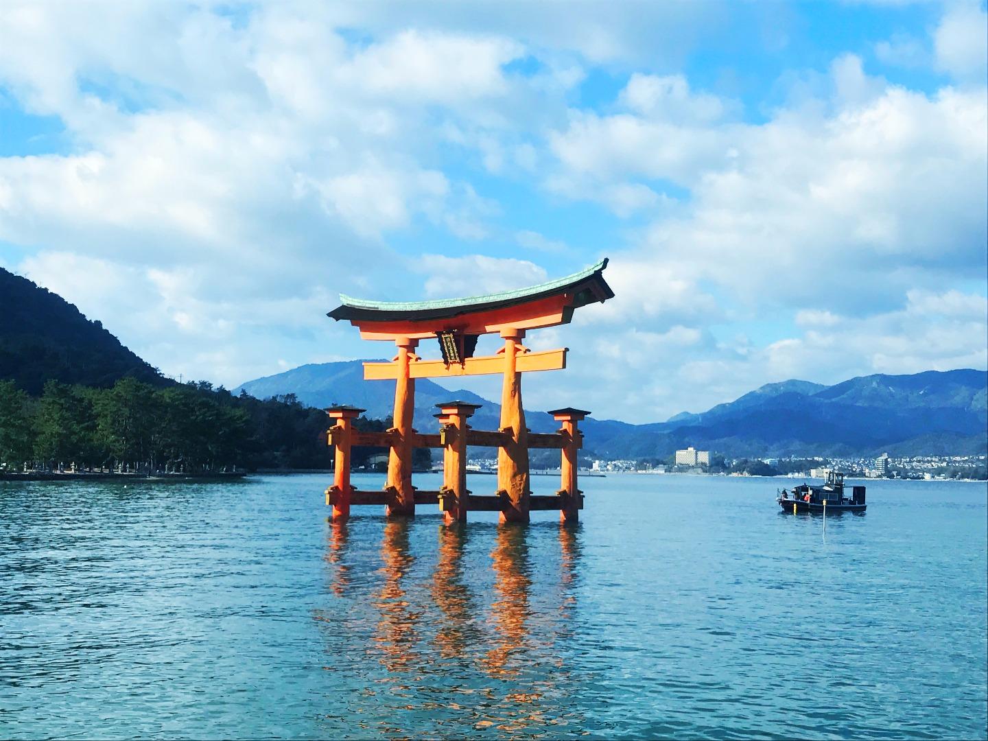 16年总结 长文 17 请多关照 知乎