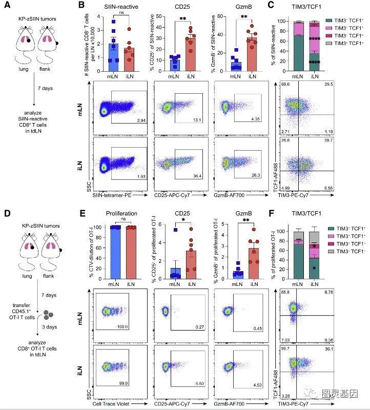 Immunity | IFN-γ的组织特异性丰度驱动T细胞对肺癌的应答功能失调 - 知乎