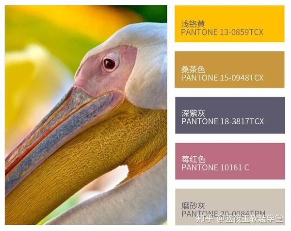 学软装配色 一定要认识桑茶色 一种低调奢华 充实富足的色彩 知乎