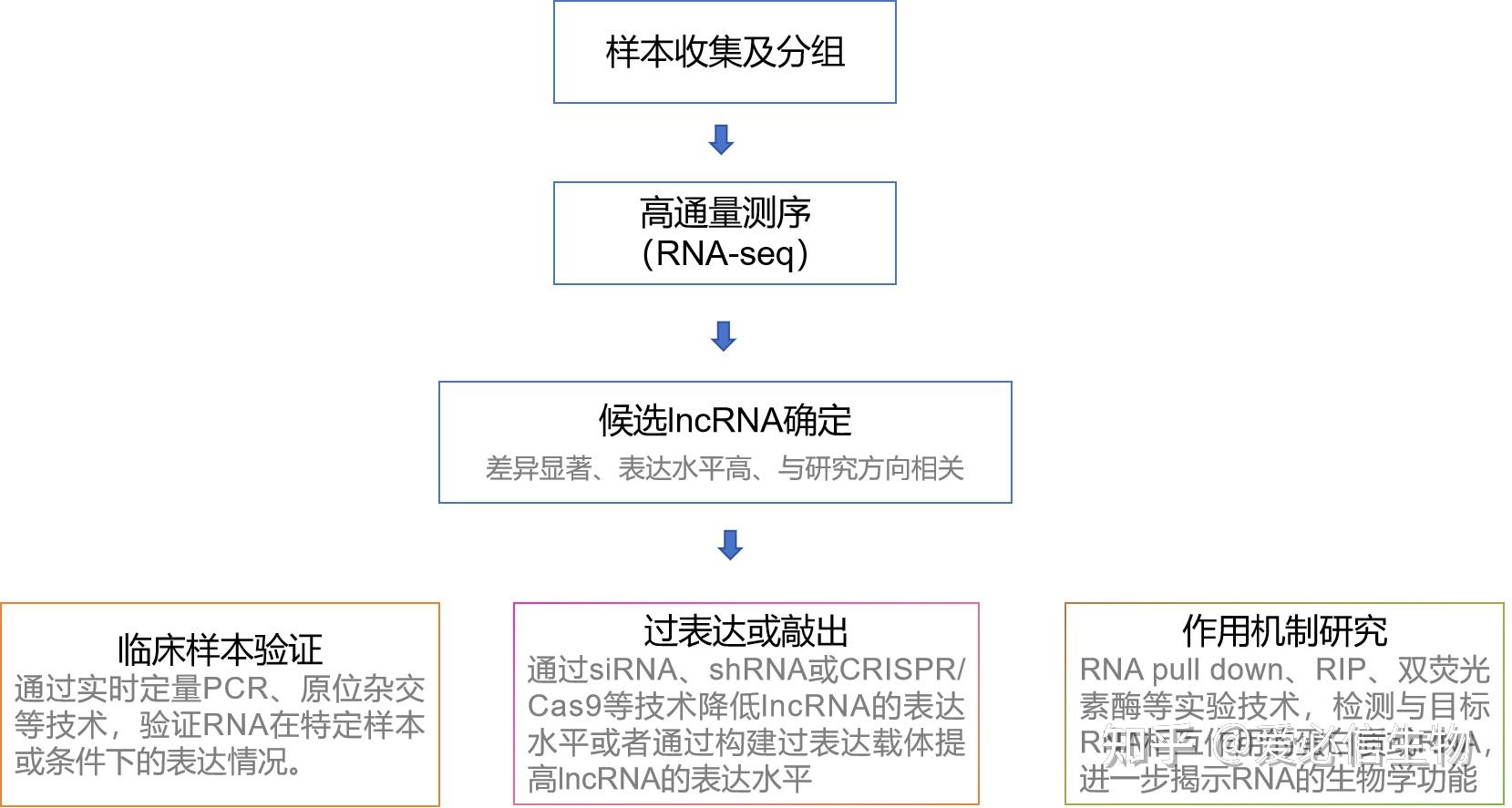 LncRNA数据深度挖掘工具——RIP技术 - 知乎