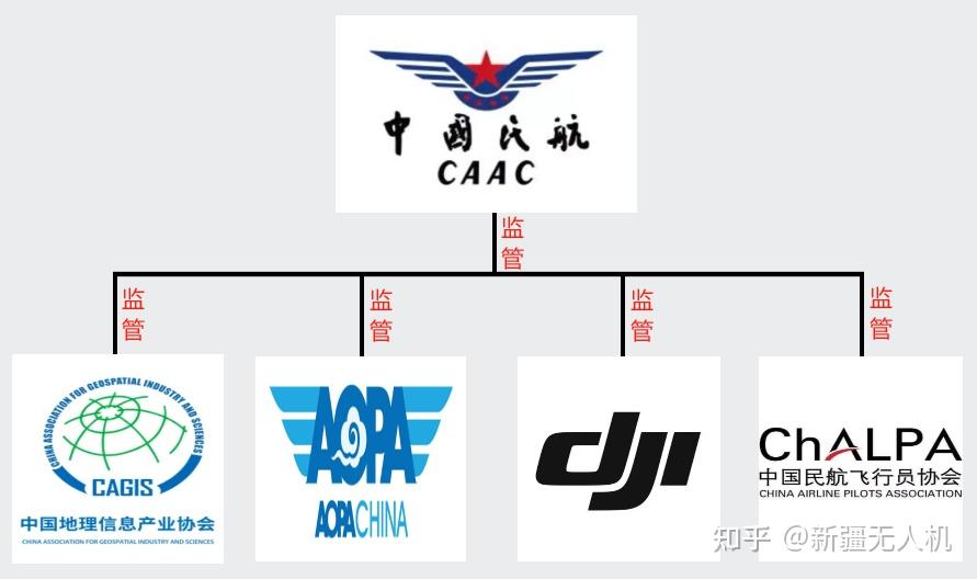 四大航空公司标志图片