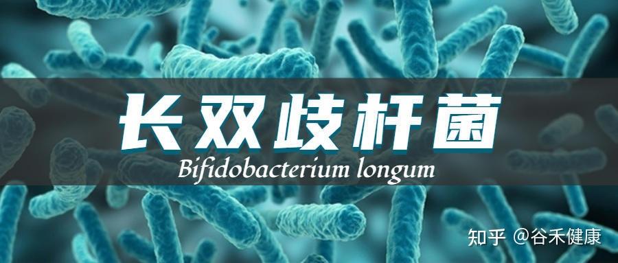 双歧杆菌长双歧杆菌