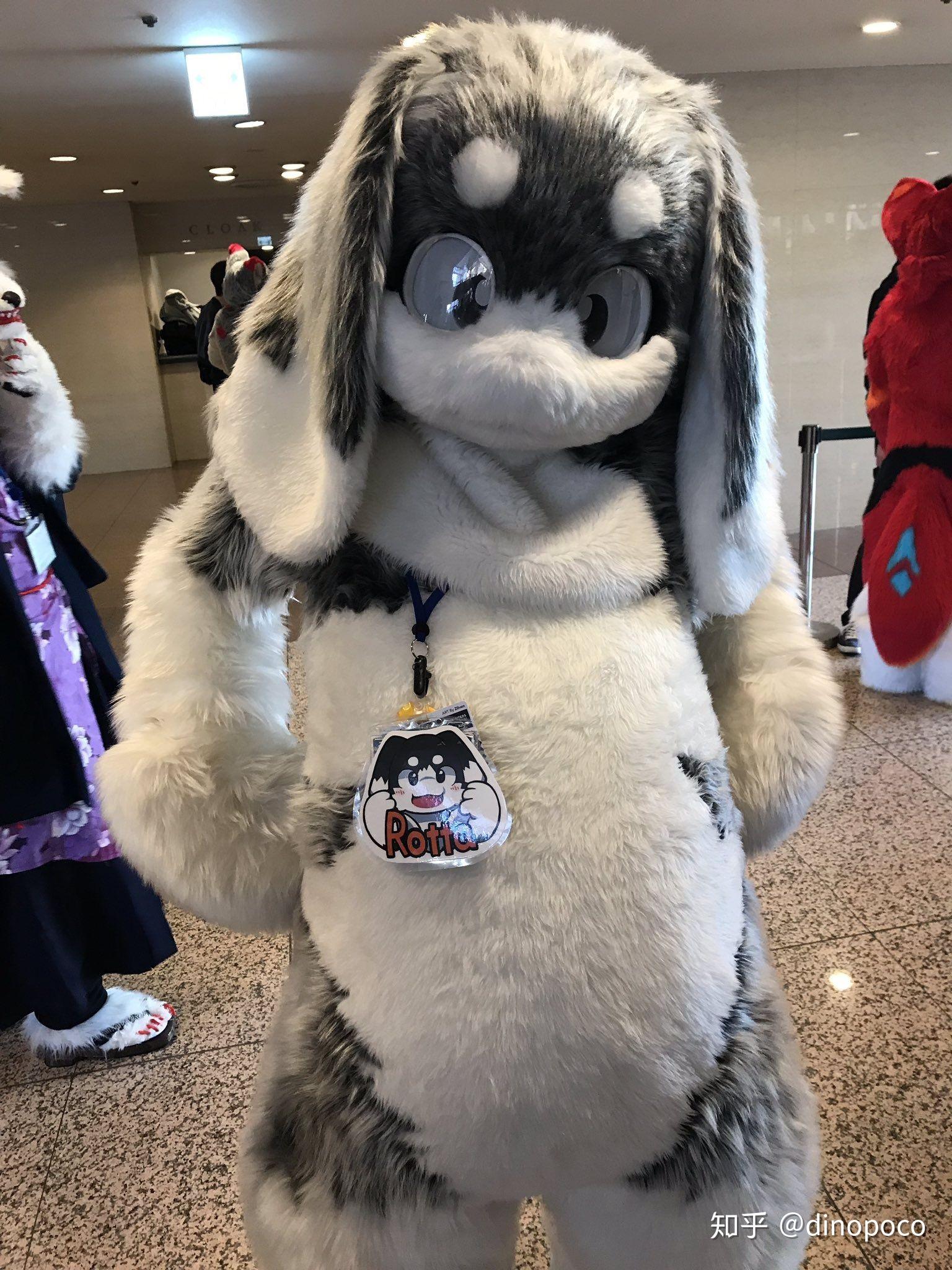 求一些可爱的兔子兽装图片