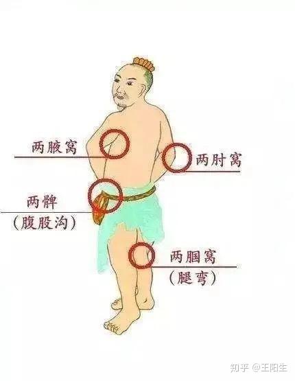 穷人都学得会的健身功法——拍八虚 - 知乎