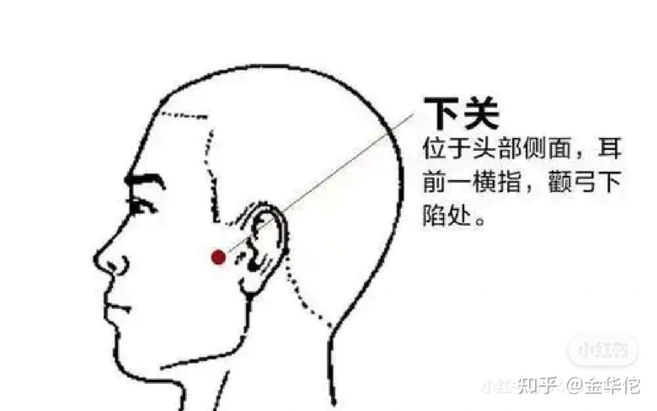 有鎮靜止痛,通經活經,清熱解表icon的功效,主治發熱,頭痛,目赤腫痛