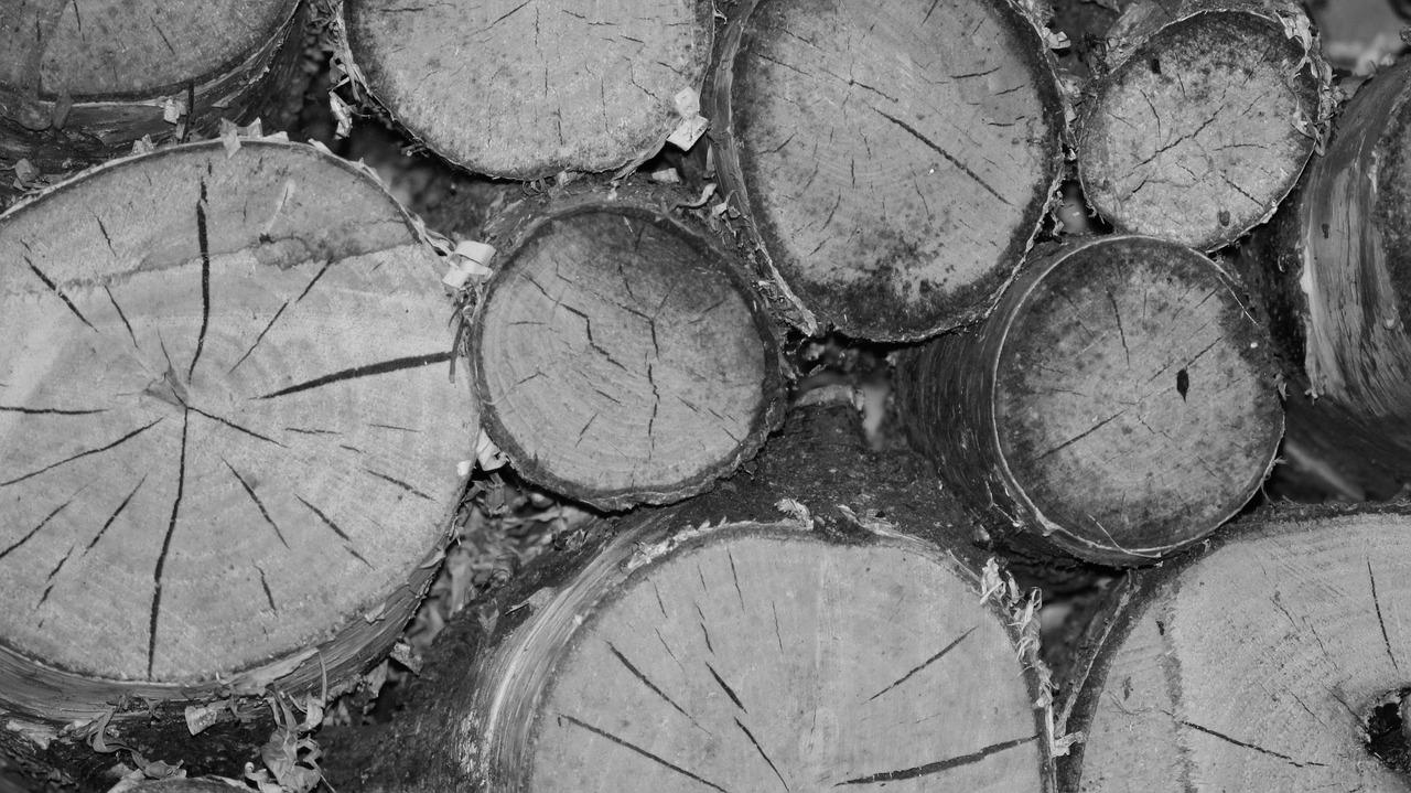 3. 纽敦木应用领域