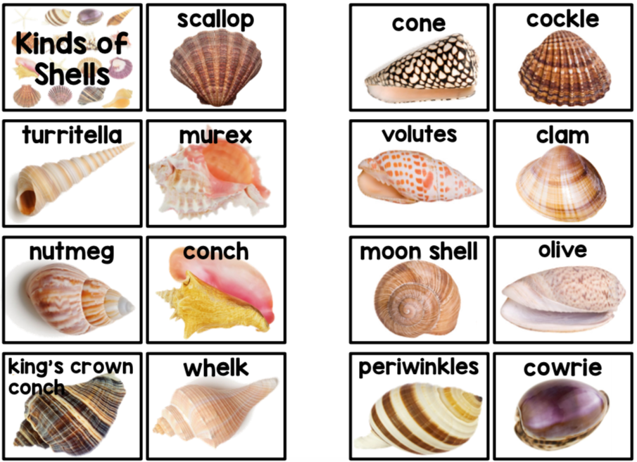 preschool-science-worksheets