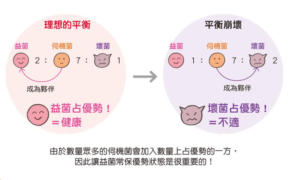 肠道健康关键在平衡!图解益菌,坏菌三大肠道菌群