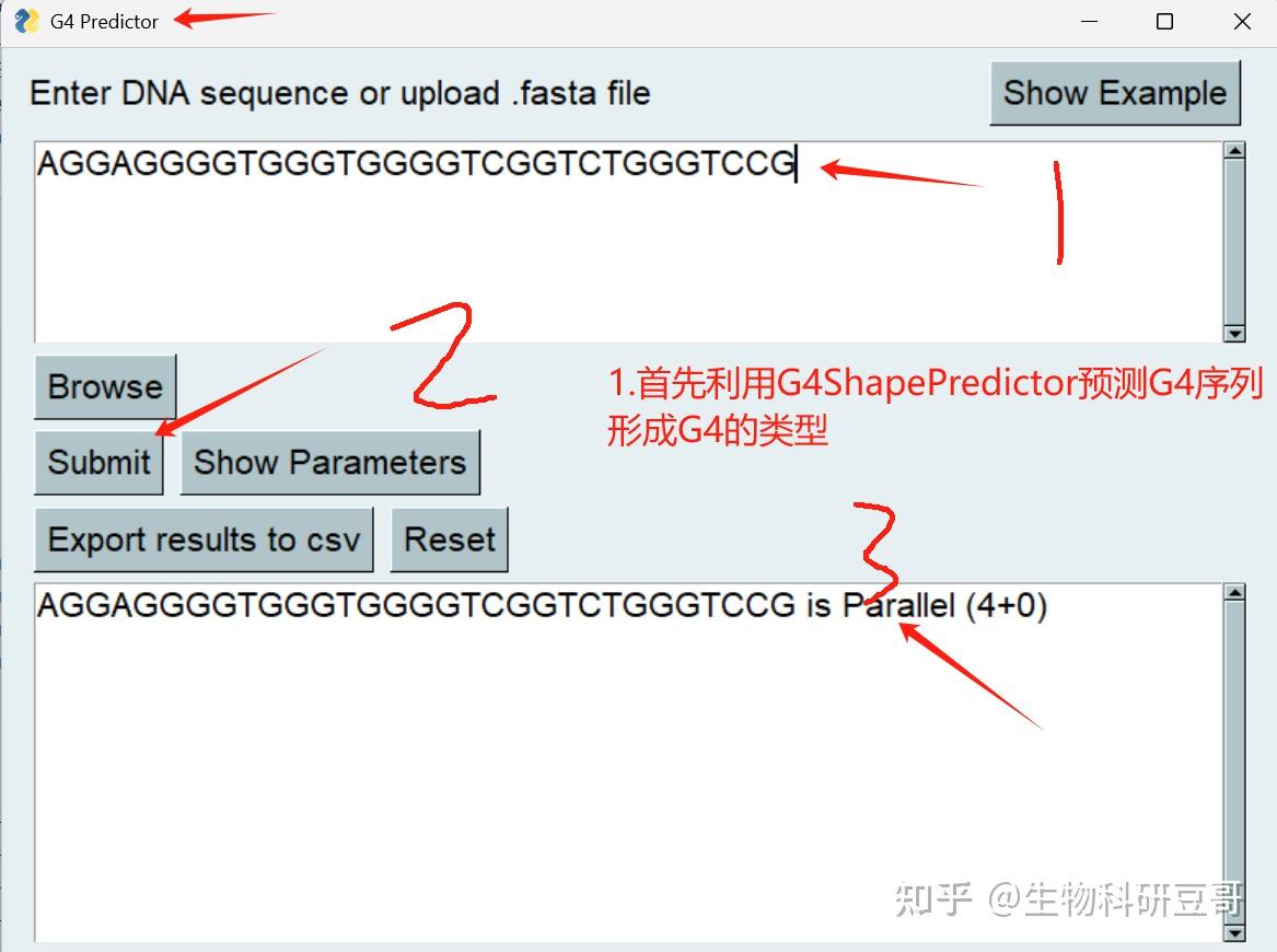 根据DNA序列预测G-四链体3D结构？Predict the 3D structure of G-quadruplex (G4 ...