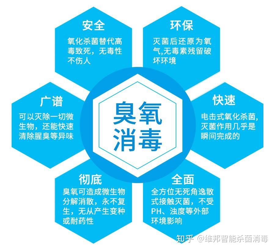 v2-dac865bfbb128225a94fe737cde4635c_r.jpg