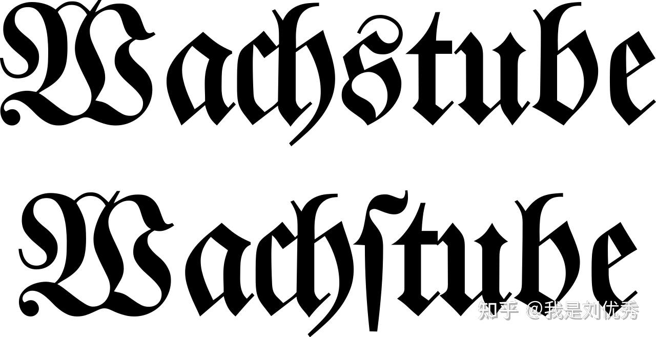 请问书里这种法文拼写是什么情况