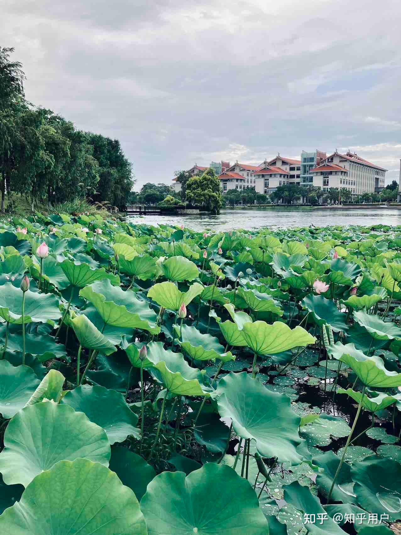 厦门大学漳州校区怎么样?