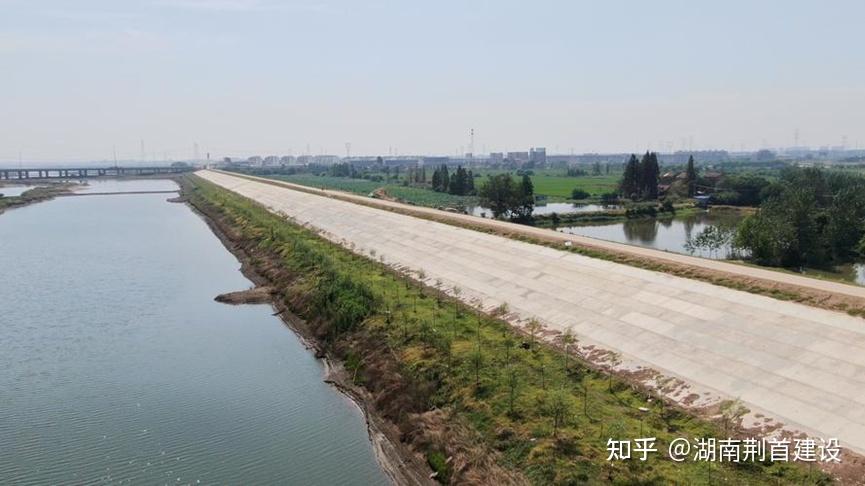 淤泥就地固化技术在河堤防工程中的应用 - 知乎