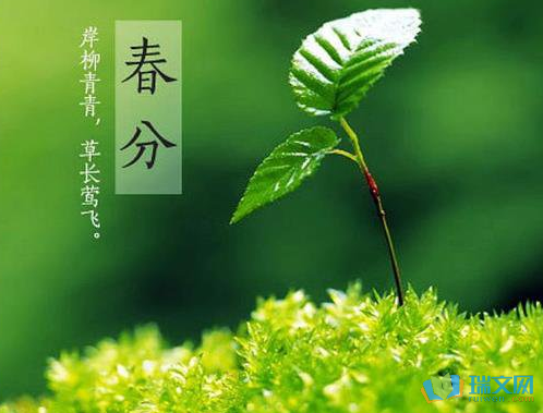 v2-daeb90696a0d7db6250039e7ad32e12f_1440w.jpg?source=172ae18b