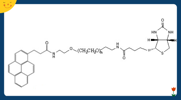 Biotin-PEG-Pyrene,Pyrene-PEG-Biotin,芘丁酸-PEG-生物素peg化芘衍生物 - 知乎