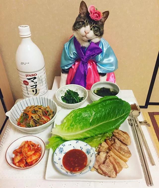 是一只5岁的公猫,依据当天的料理风格,乖乖地被猫奴打(wan)扮(nong)成