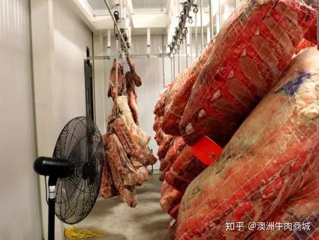【干式熟成牛排】湿式熟成经验之谈 - 知乎
