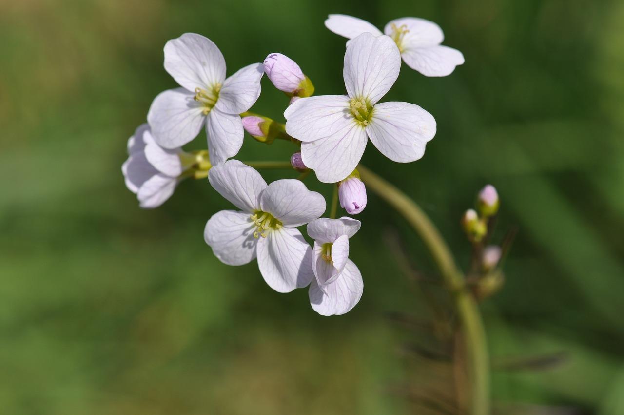 4. 淡粉色家具选择