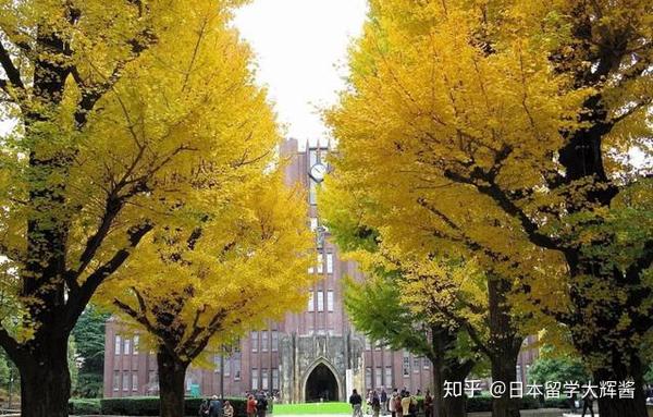 日本东京大学sgu申请需要什么条件 知乎