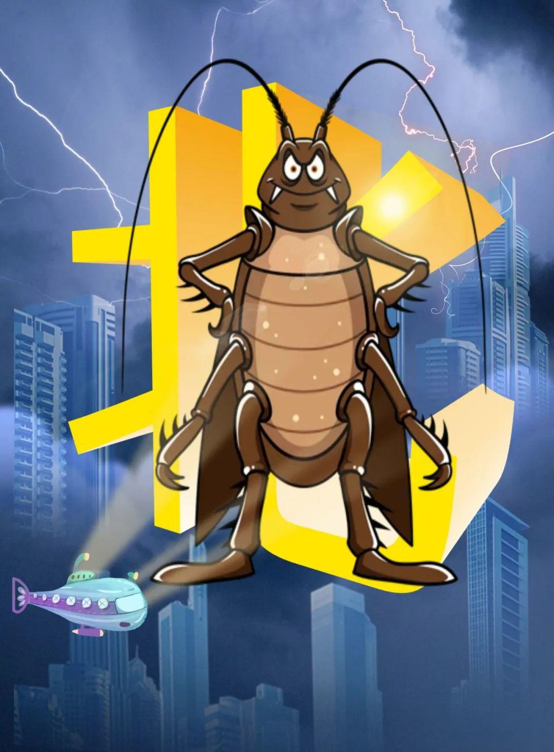 为什么北方大蟑螂越来越多?