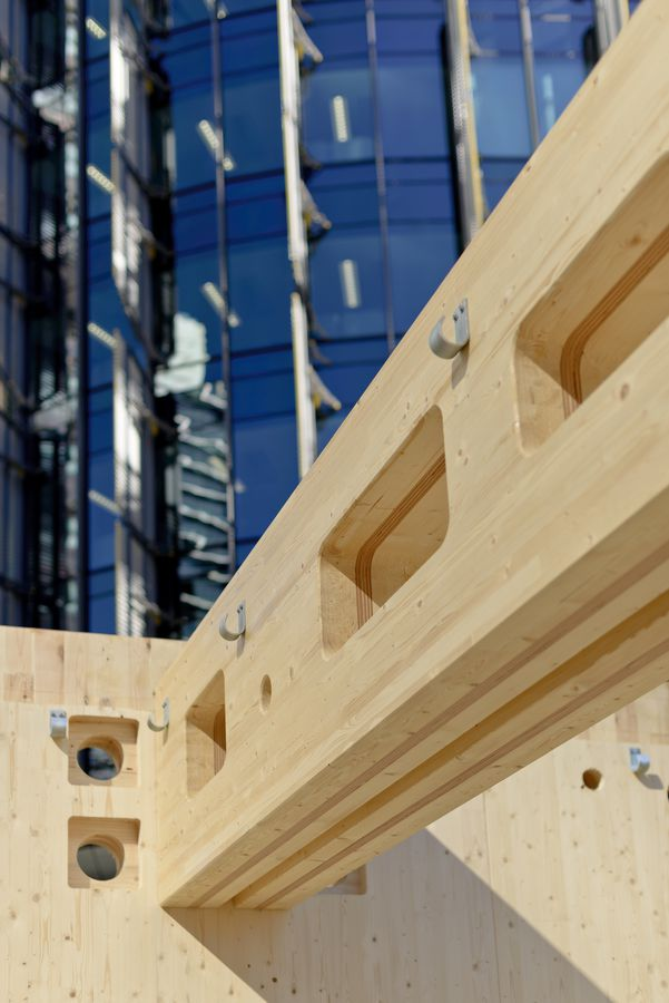 胶合木和胶合板复合的胶合梁 - 知乎