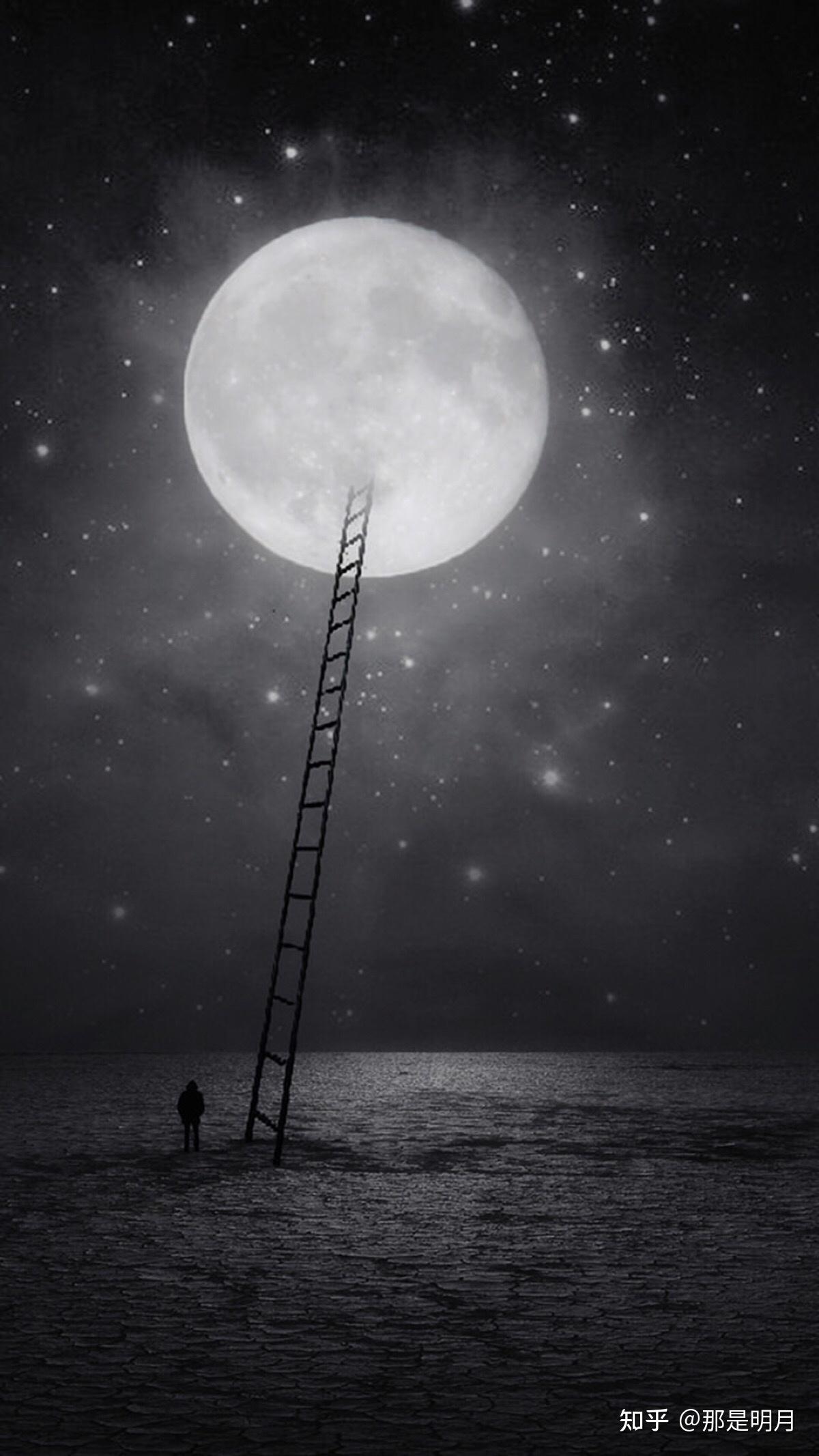 有没有与手机黑色主题融为一体的微信聊天背景图以及手机壁纸?