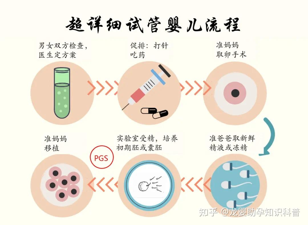 试管的用途和注意事项图片