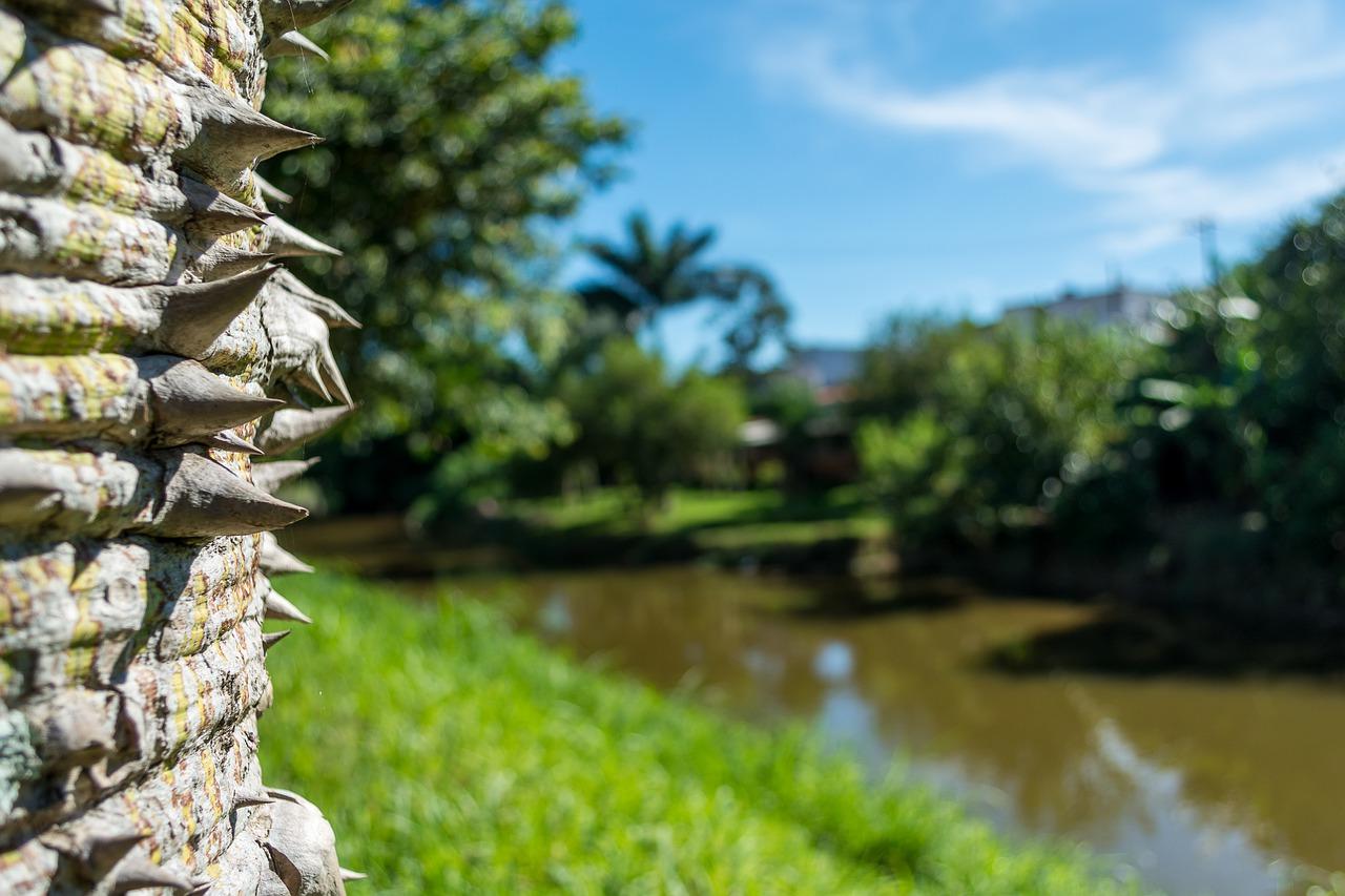 4. 山东红瓦报价