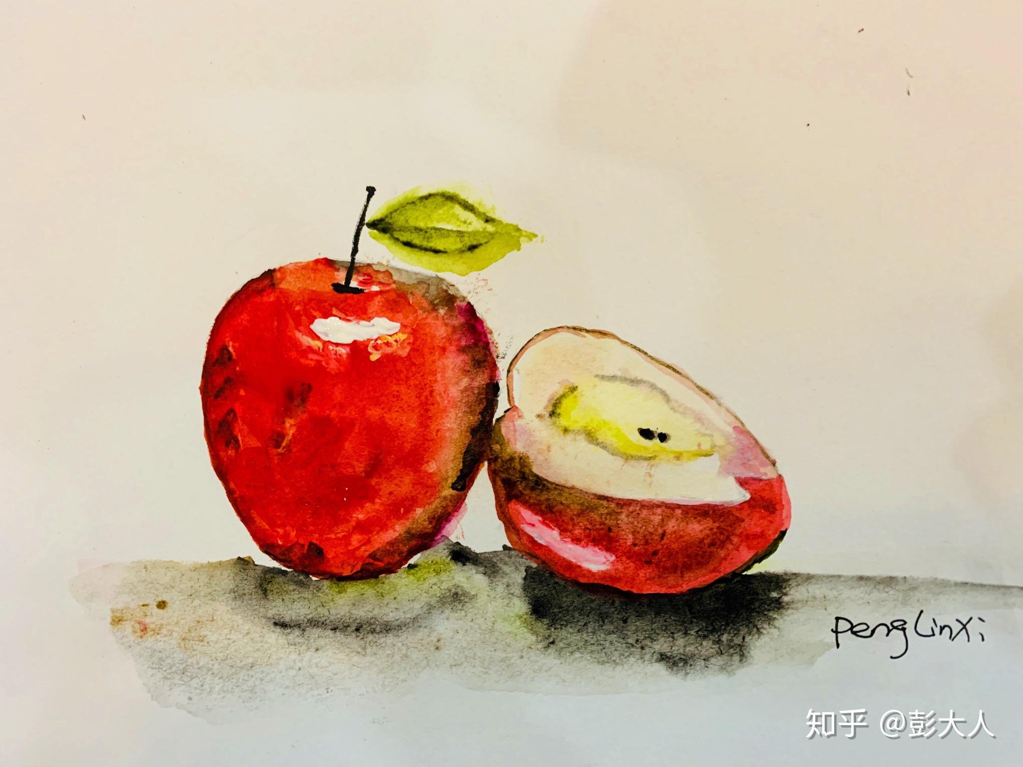 新手入门水彩画