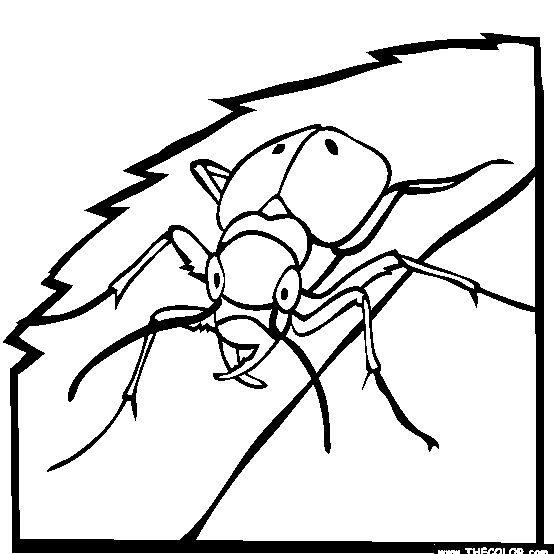 虎甲虫简笔画图片