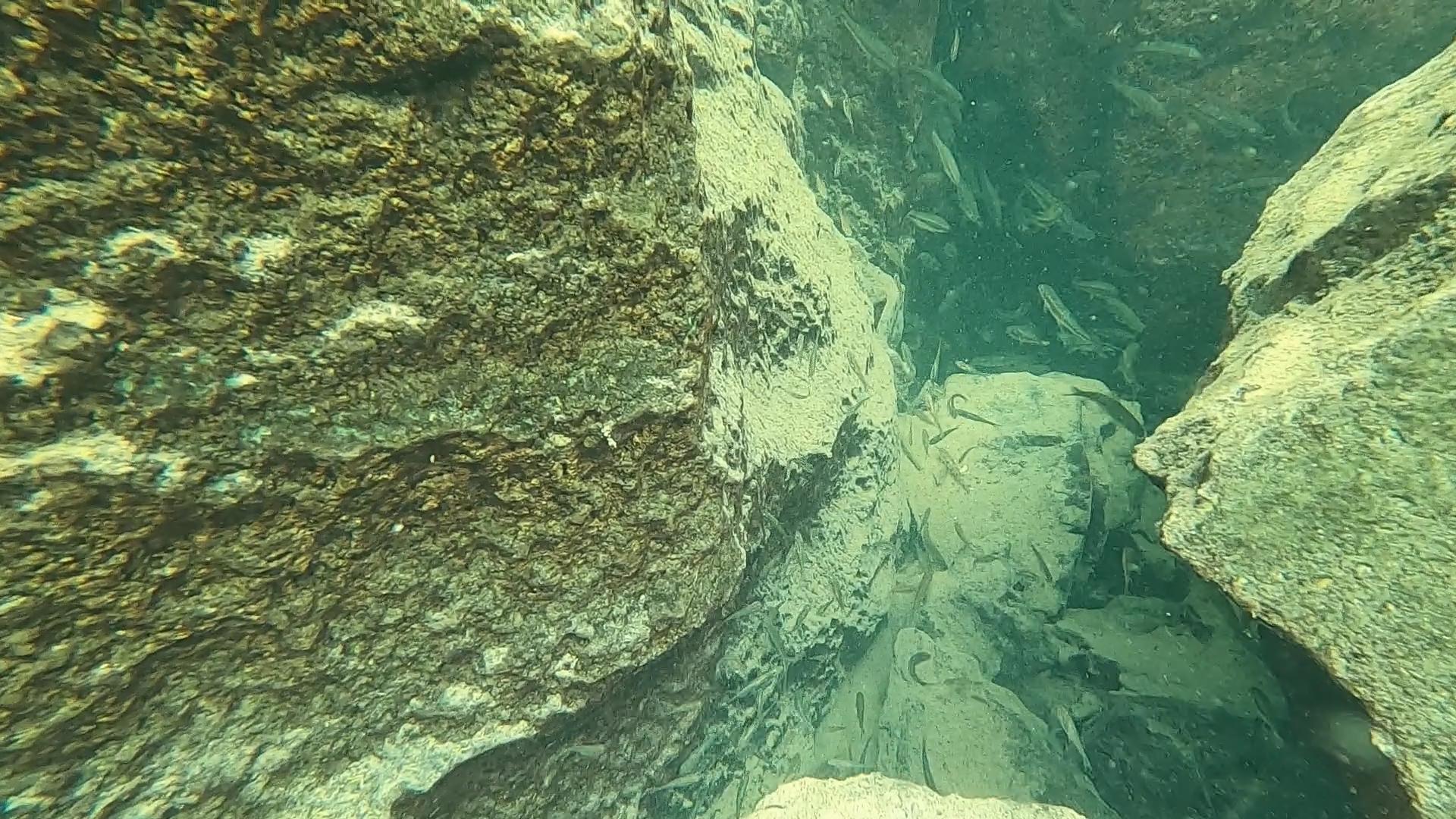 独自一人潜下恐怖深潭,发现一个无底洞口不敢贸然进去太危险 - 知乎