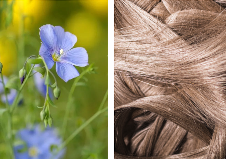 BV必维告诉你什么叫EUROPEAN FLAX(欧洲亚麻认证)? - 知乎