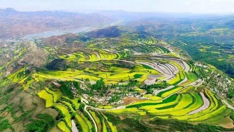 五月定西漳县油菜花海流金溢彩