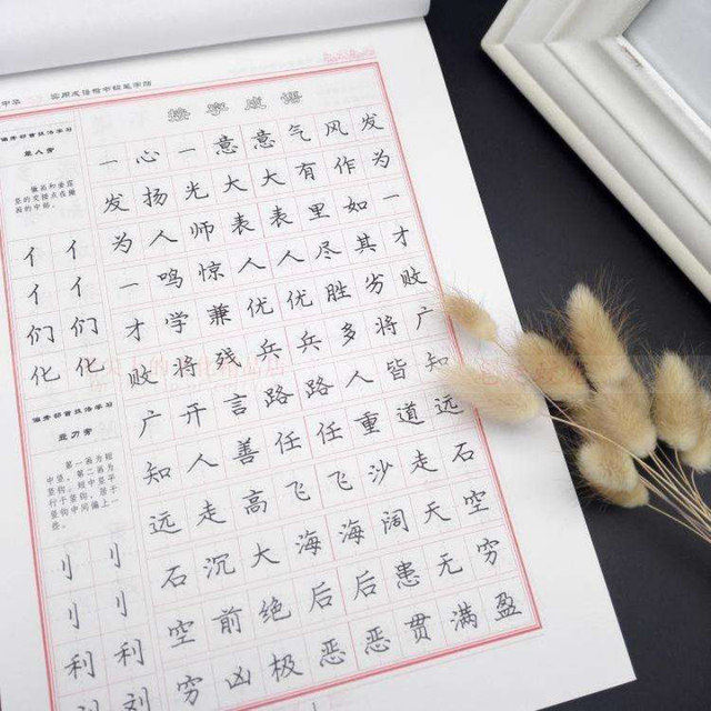 小学生手写印刷体走红写一手好字其实不难