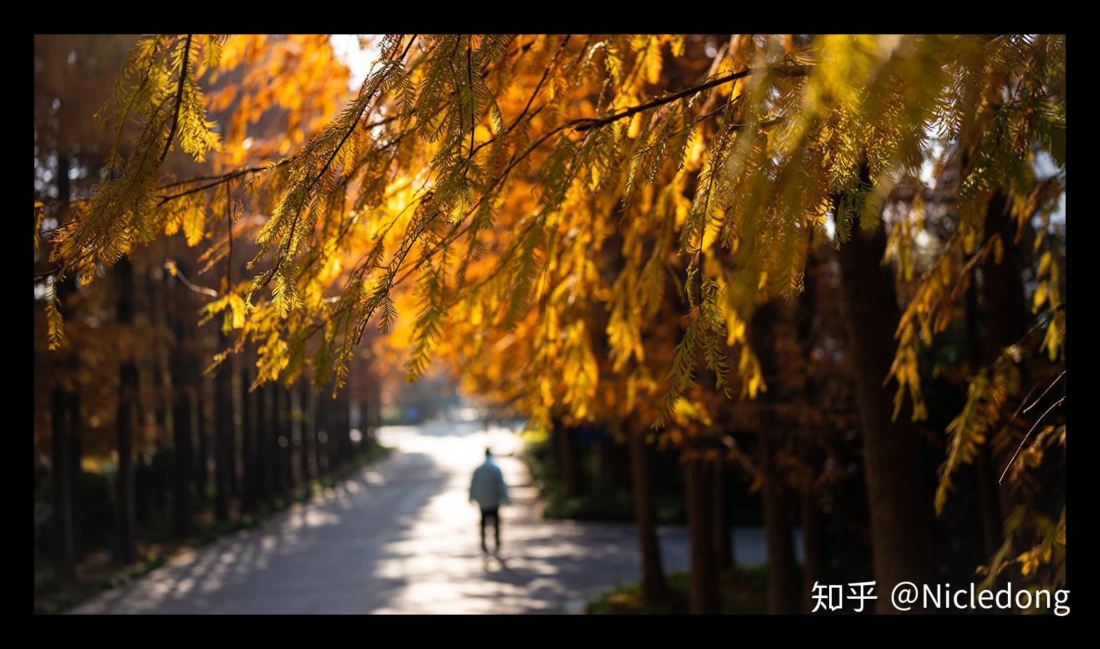 TAMRON收購鏡頭