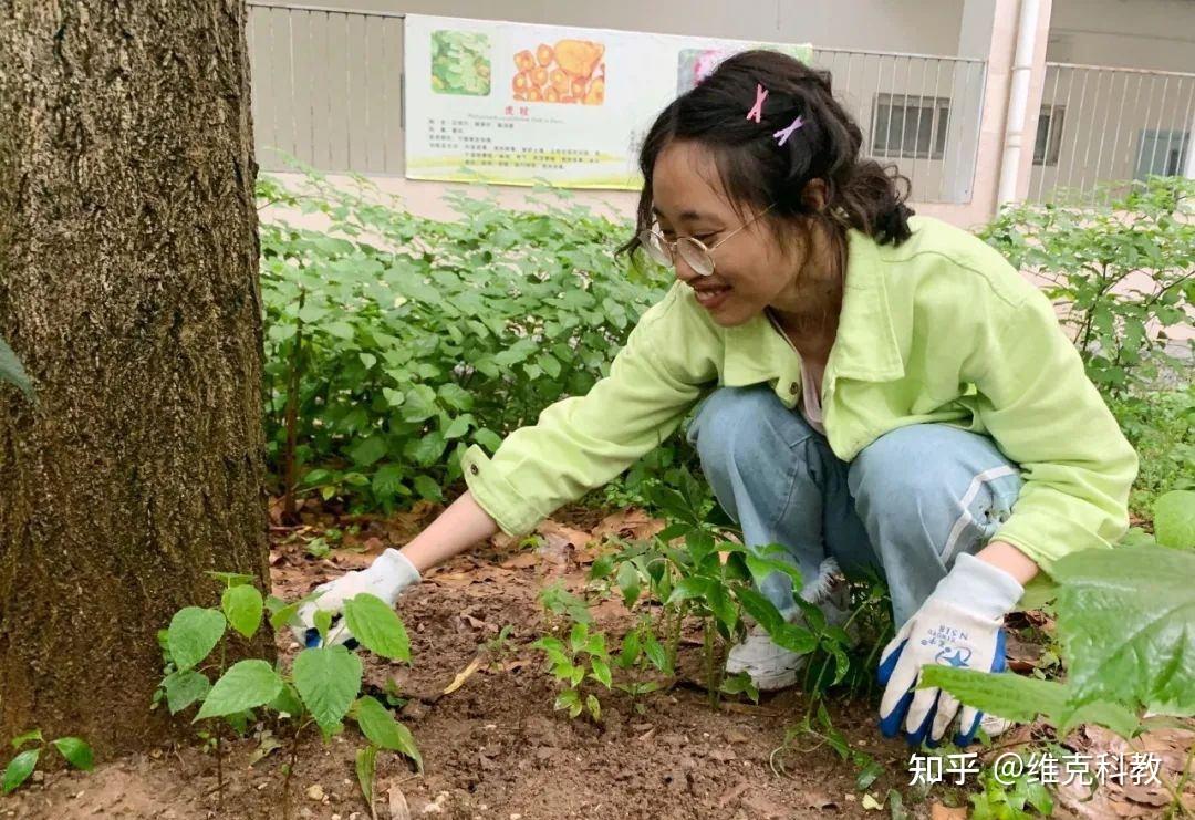 植物标本的采集方法 - 知乎