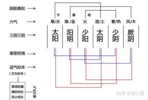 六经辨证传变顺序与传变类型 - 知乎