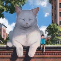 Zhihu profile picture for @color