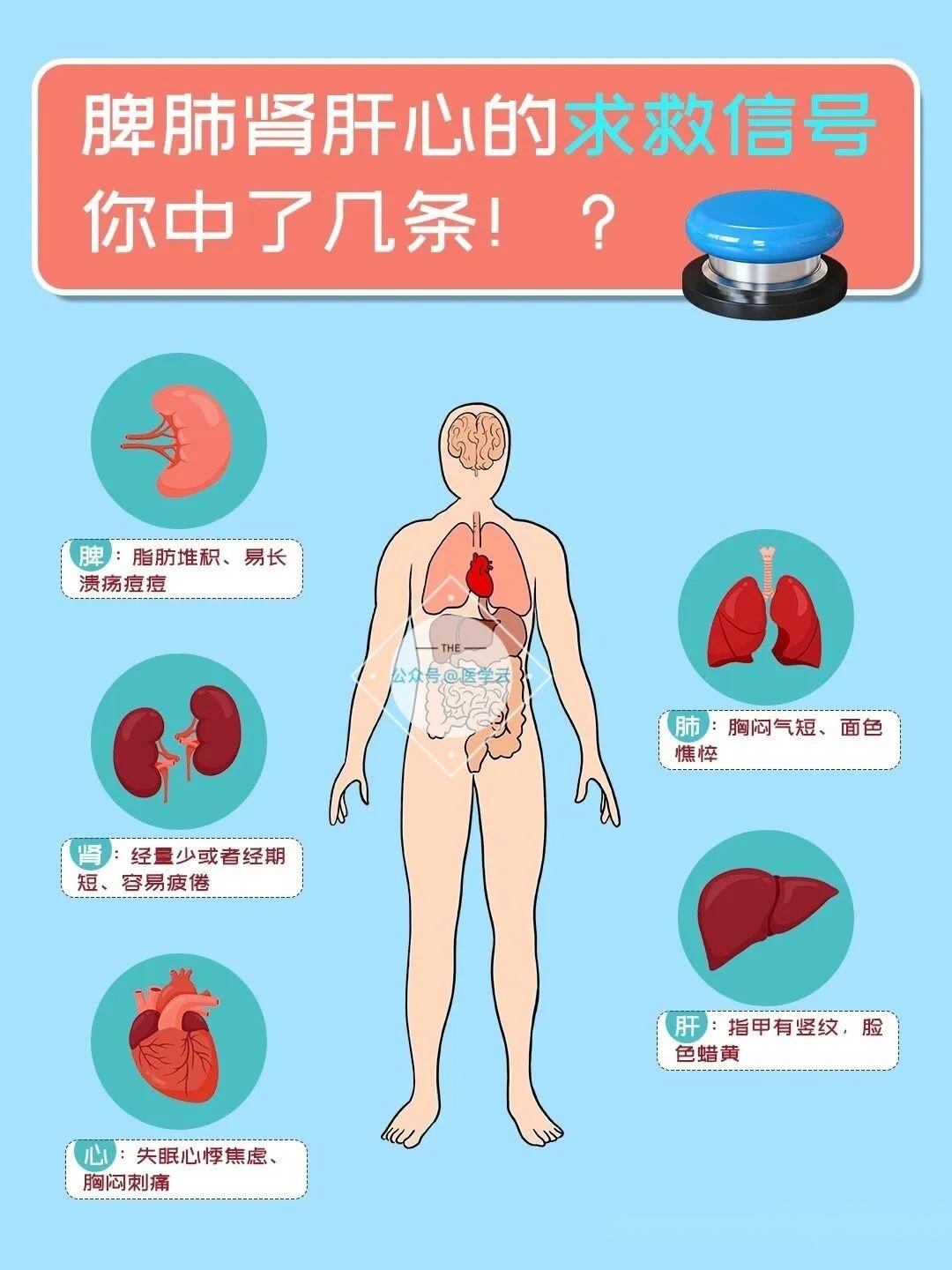 器官保養五臟脾肺腎肝心的求救信號你中了幾條