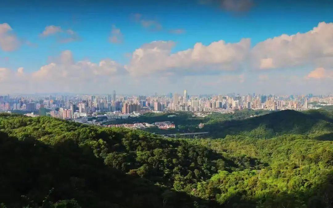 黄埔长岭居:中冶·逸璟台,世界都会城央半山,身份标志塔尖争藏 - 知乎